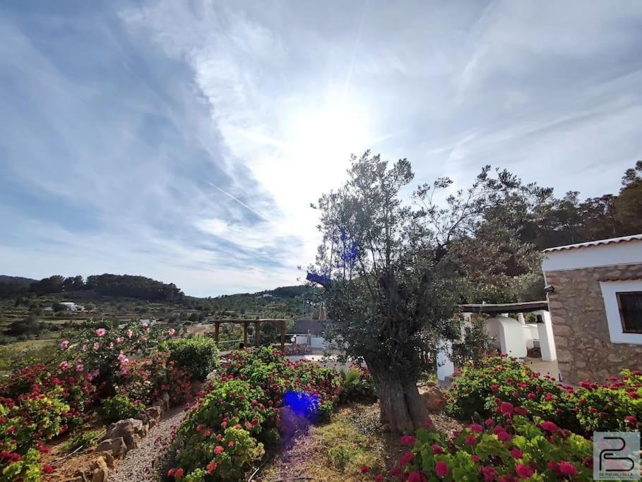 Casa Can Lluc Con Piscina, Jardin Y Vista Al Campo サン・ミゲル・デ・バランサット エクステリア 写真