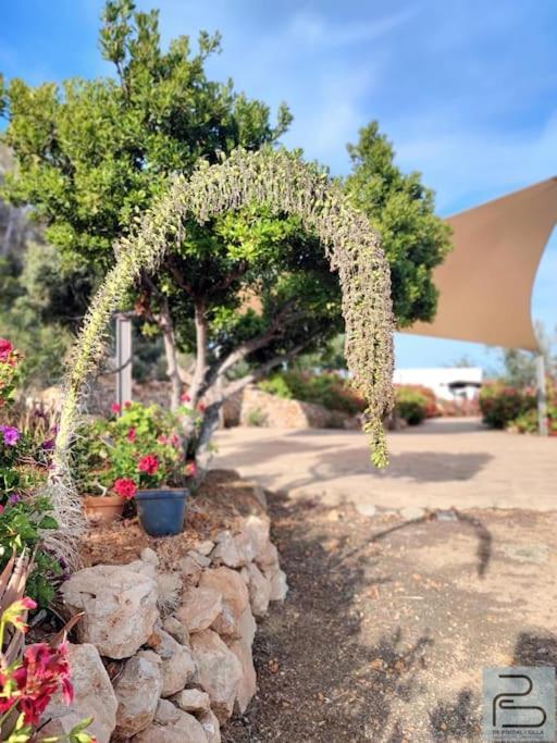 Casa Can Lluc Con Piscina, Jardin Y Vista Al Campo サン・ミゲル・デ・バランサット エクステリア 写真